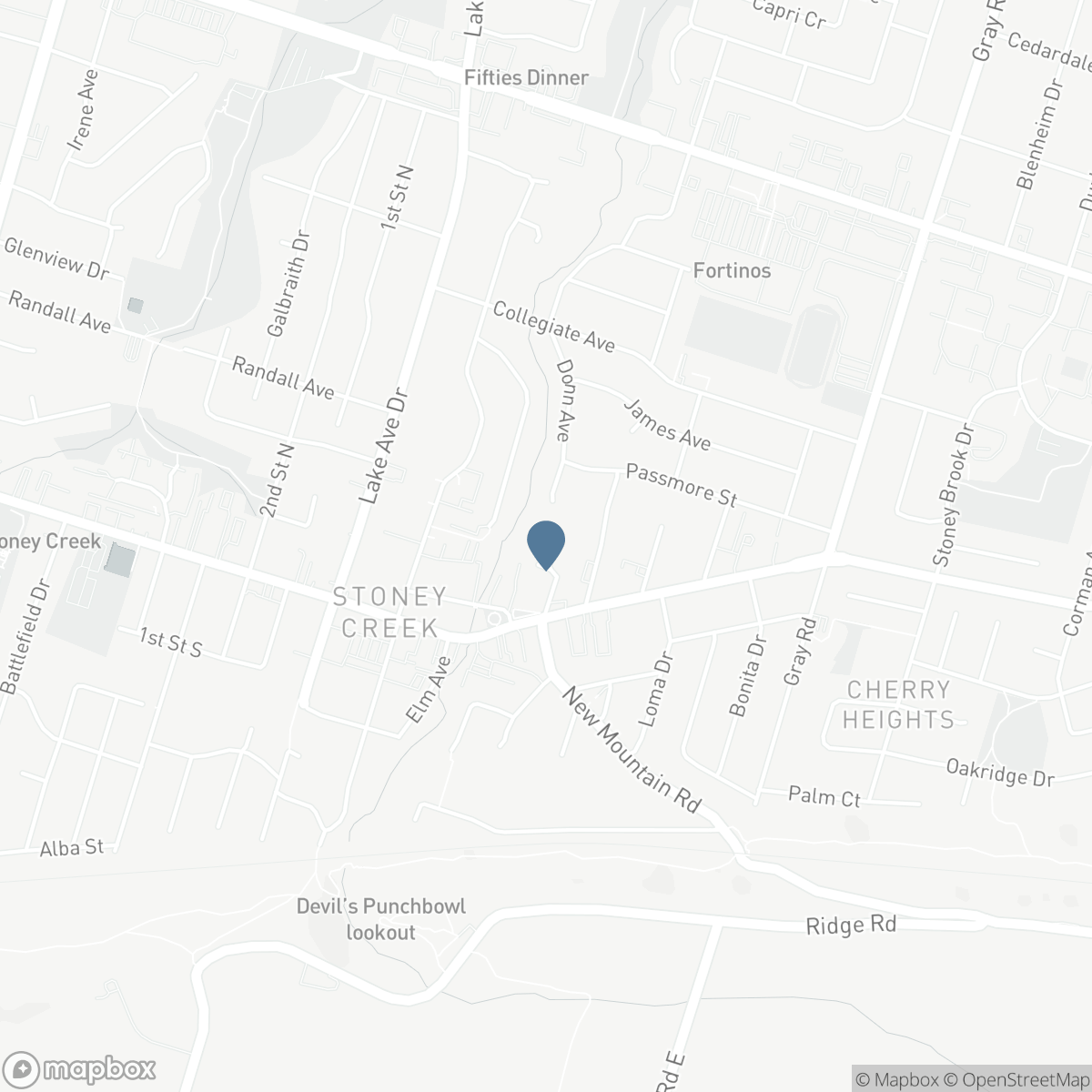 21 ROSEDALE Court, Hamilton, Ontario L8G 4B1